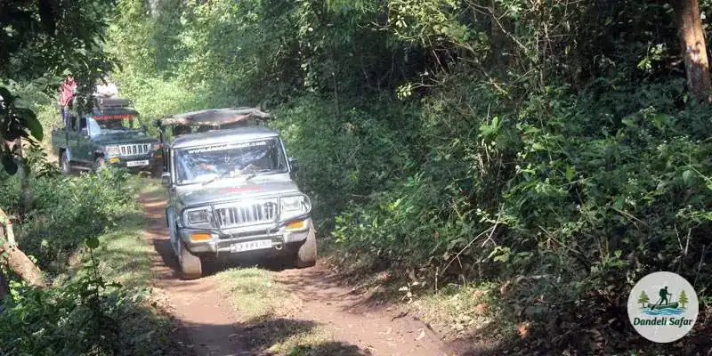 Jeep safari trail
