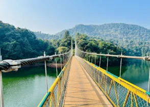 Shivapura hanging bridge offering panoramic forest views near Dandeli
