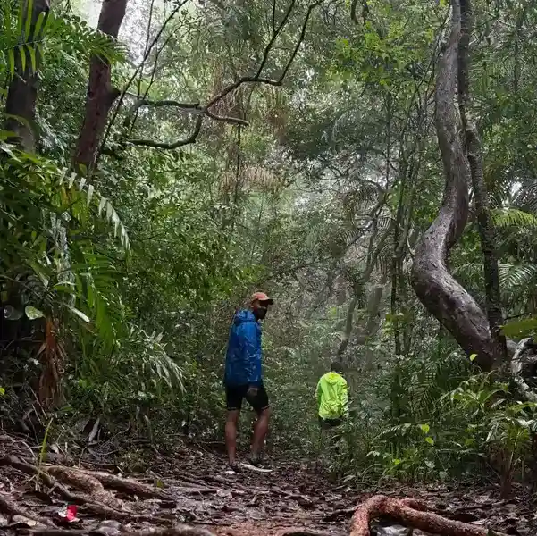 Family trekking through scenic forest trails in Dandeli Western Ghats