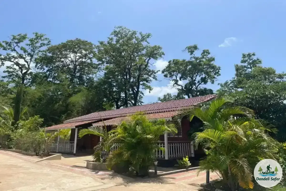 Guests enjoying pool activities and water fun at B Hive Resort swimming pool
