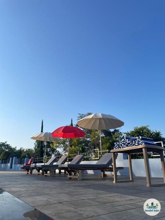 Evening pool activities under lights at B Hive Resort near Dandeli