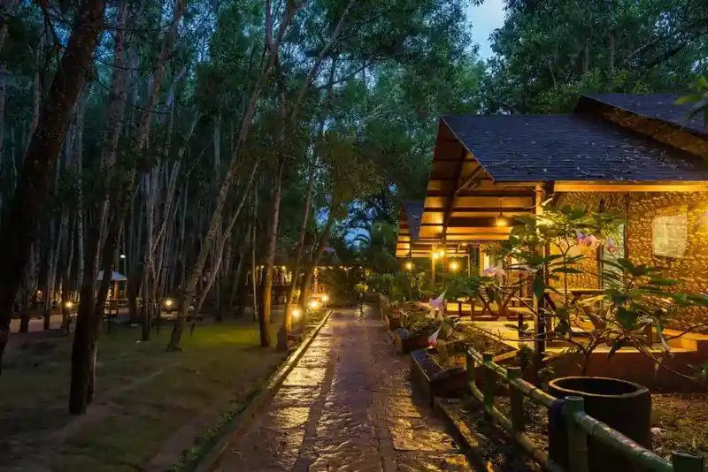 Beautiful landscaped garden area at Dew Drops Jungle Resort