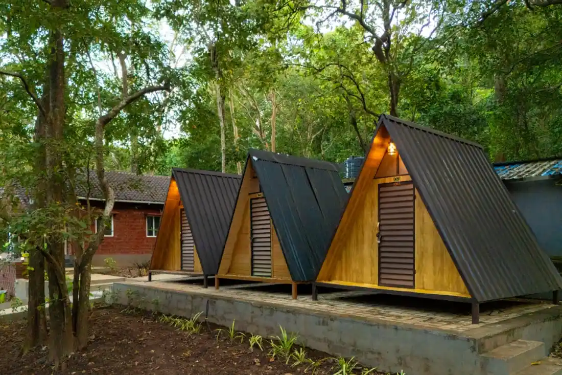 A-frame wooden cabins at Rain Forest Resort Dandeli with forest surroundings