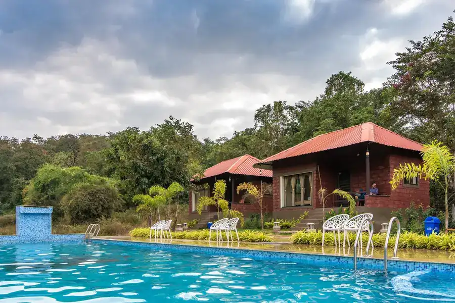 Another angle of the beautiful swimming pool at Tusker Trails Dandeli