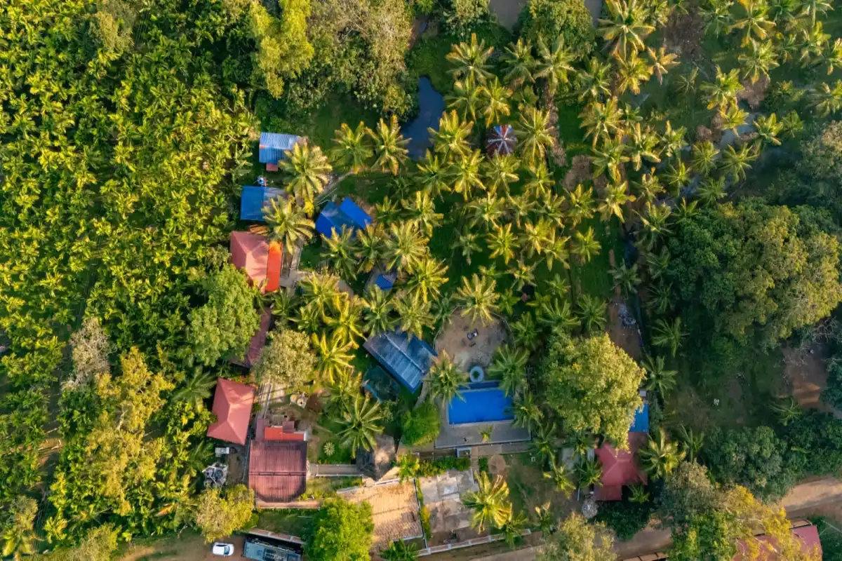 Wide aerial shot of Wild Mist Jungle Stay resort in dense Western Ghats jungle